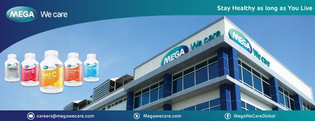 Company Banner