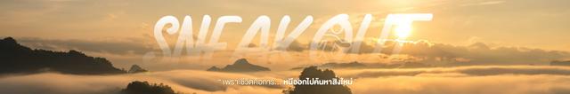 Company Banner