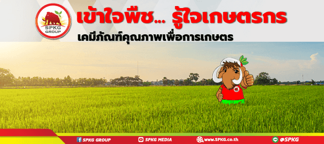 Company Banner