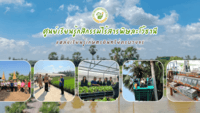 Company Banner