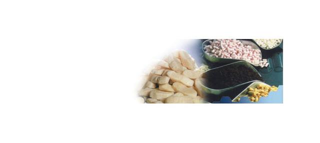 Company Banner