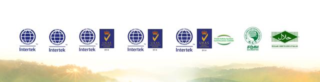 Company Banner