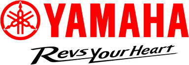 Application Programmer (JavaScript)