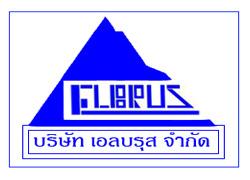 วิศวกรประจำโครงการ