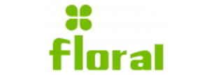 Export & Domestic Sales Manager