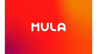 Sales Executive (financial)