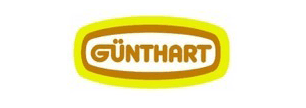 Sales Executive