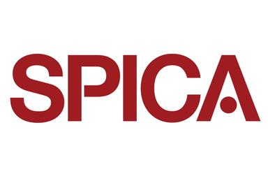 Sales Representative