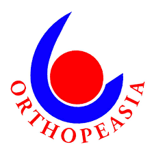 Data Analyst