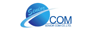 Senior Business Analyst  /  Project Manager